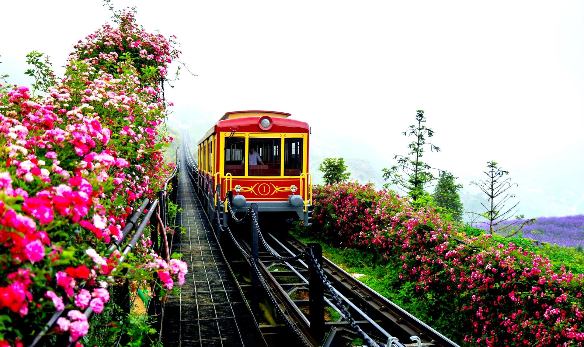 Ga tàu hỏa leo núi Mường Hoa
