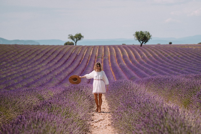 Provence có gì đặc biệt?
