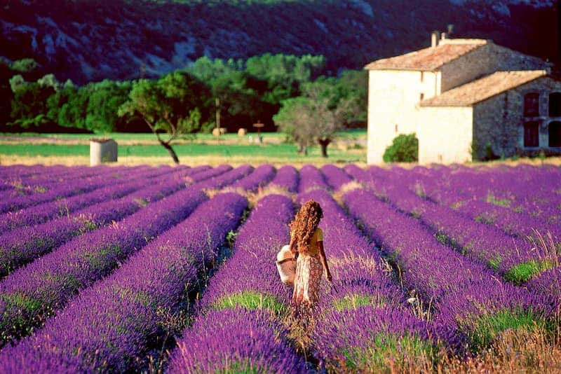 Khí hậu của Provence