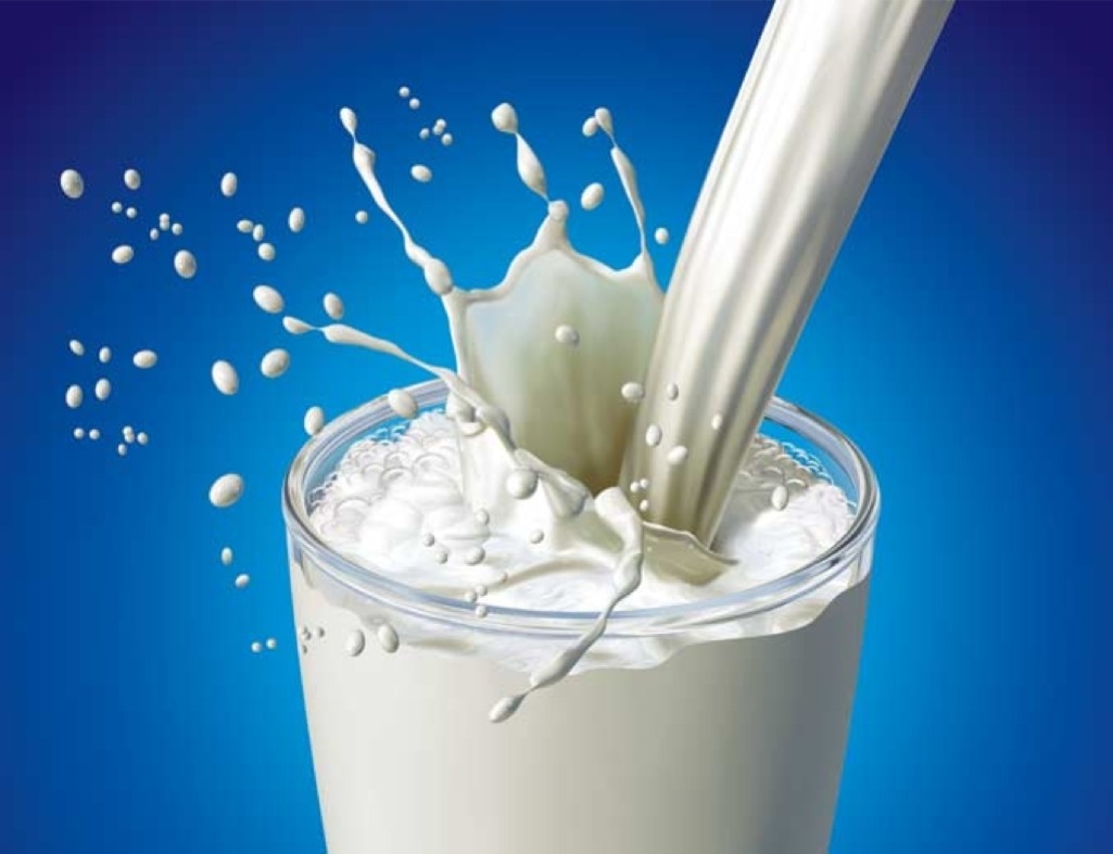 Sữa tươi chứa các chất có thể làm giảm lượng sắt có trong cơ thể trẻ